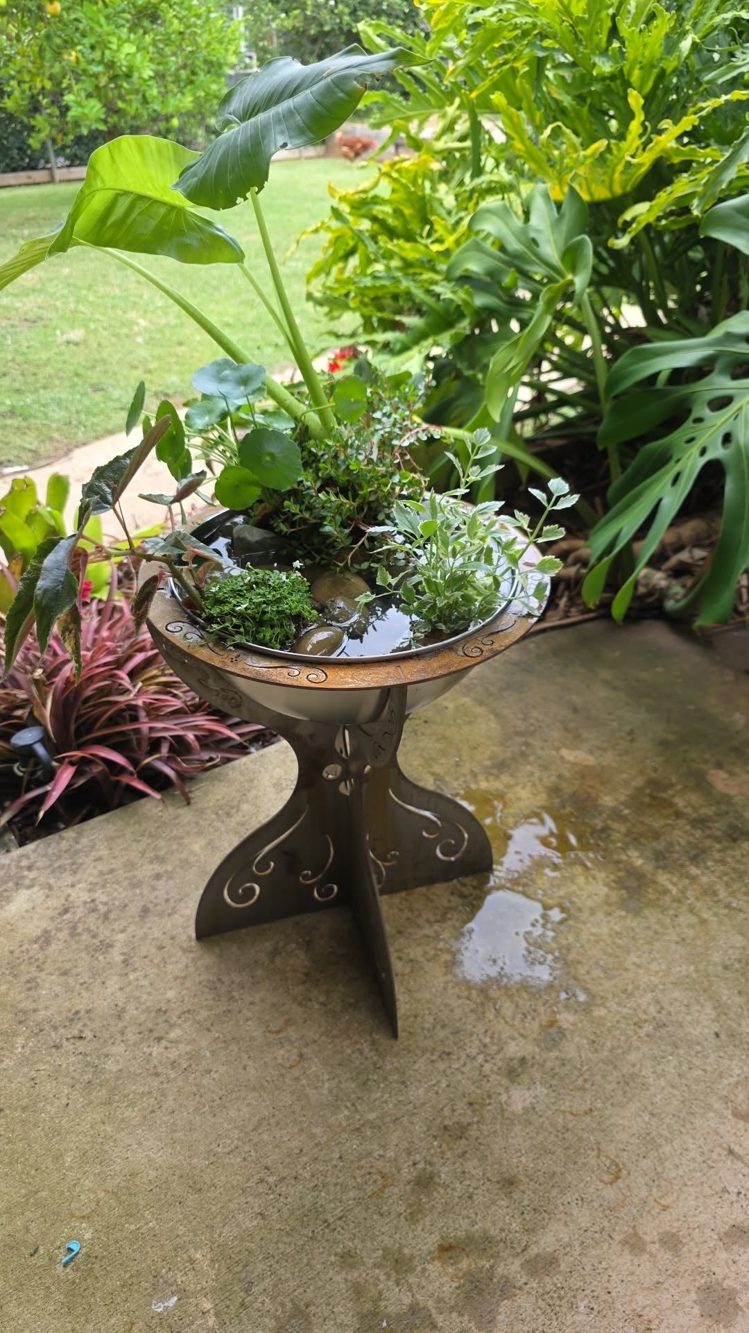 Water Planter