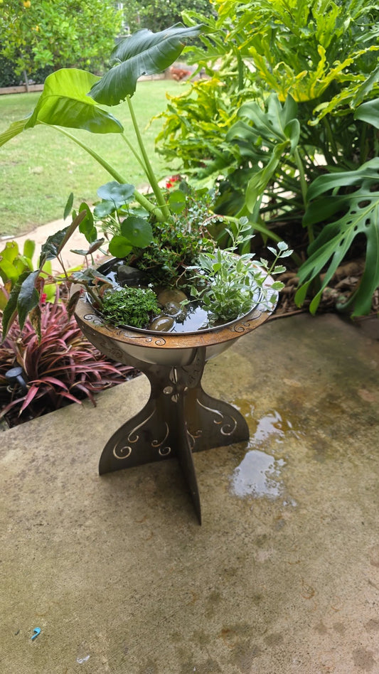 Water Planter